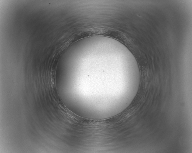 X0000067871058200604131009