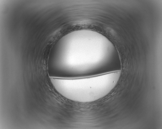 X0000067871062200604131009
