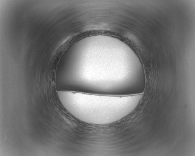 X0000067871064200604131009