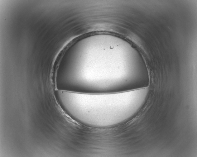 X0000067871068200604131009
