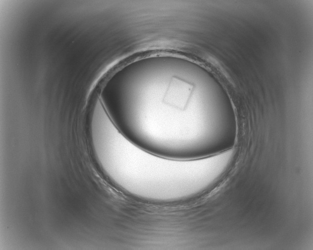 X0000067871069200604131009