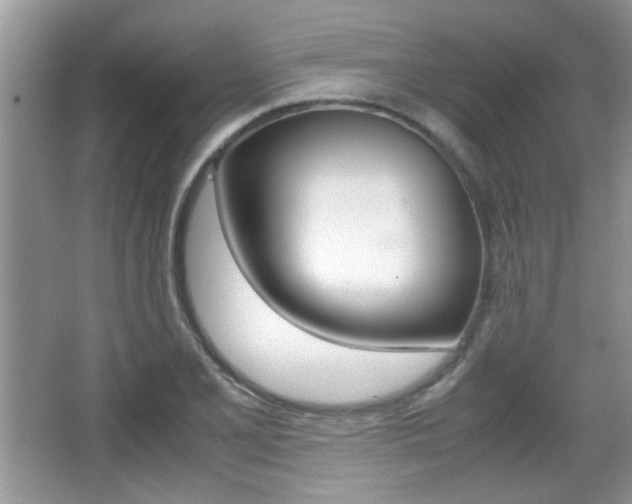 X0000067871077200604131008