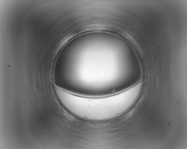 X0000067871081200604131008