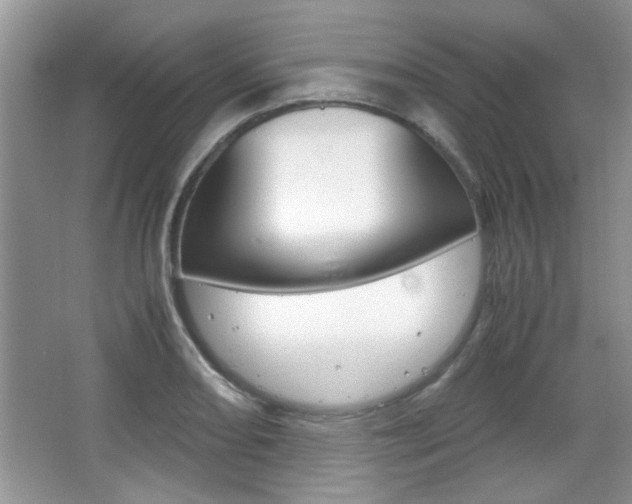 X0000067871082200604131008