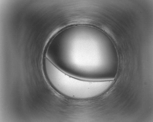 X0000067871085200604131008