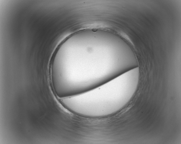 X0000067871087200604131008
