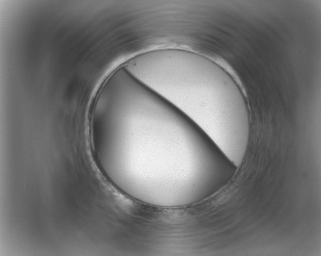 X0000067871096200604131008