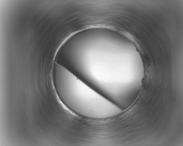 X0000067871100200604131008