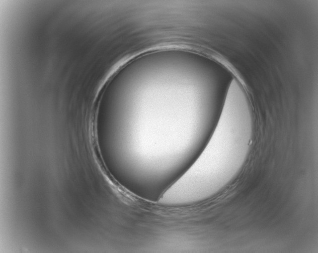 X0000067871101200604131008
