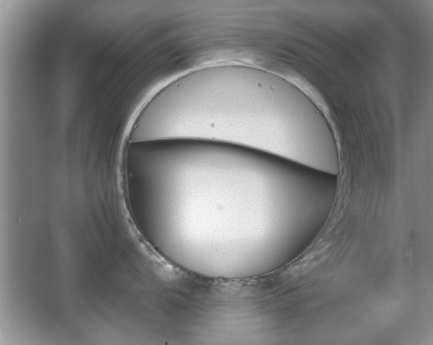 X0000067871104200604131008