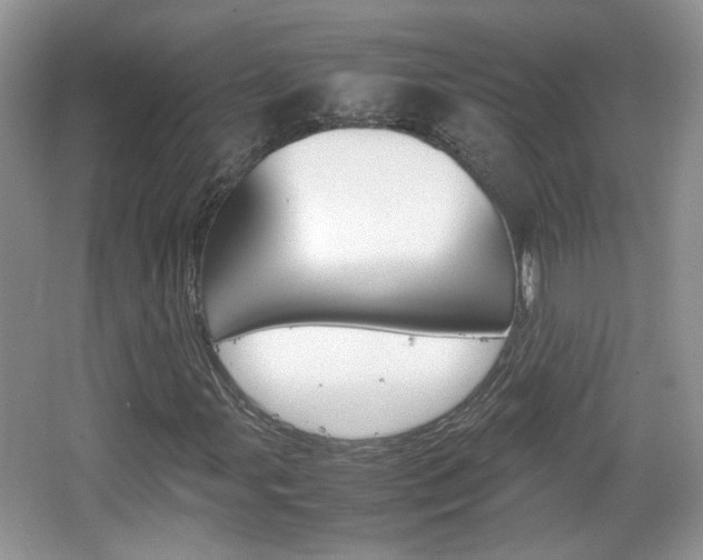X0000067871107200604131007