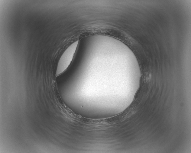 X0000067871108200604131007