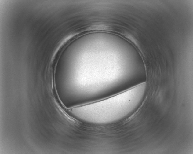 X0000067871123200604131008
