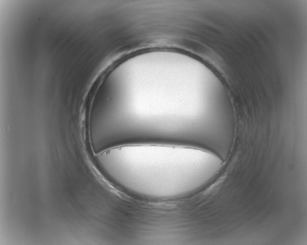 X0000067871126200604131008