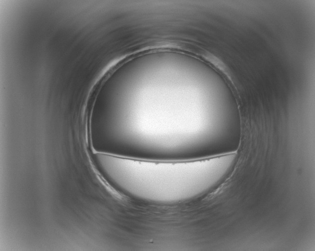 X0000067871127200604131008