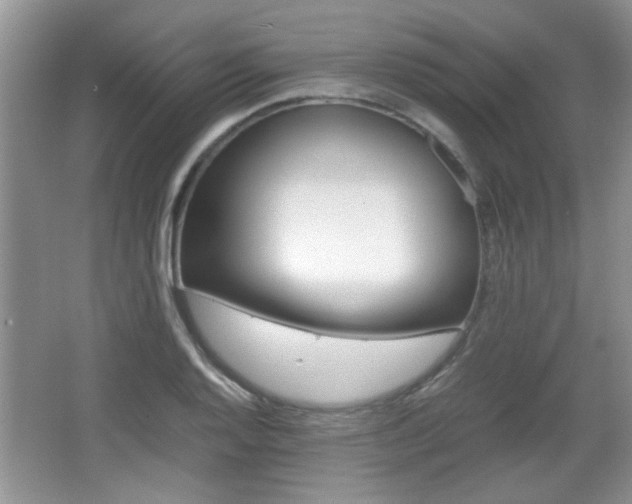 X0000067871128200604131008