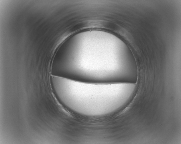X0000067871129200604131008
