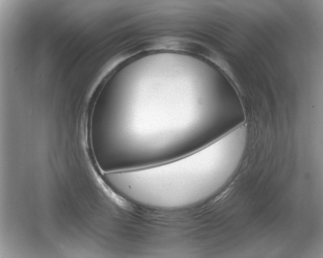 X0000067871131200604131008