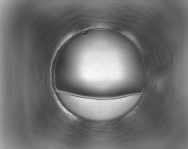 X0000067871135200604131008