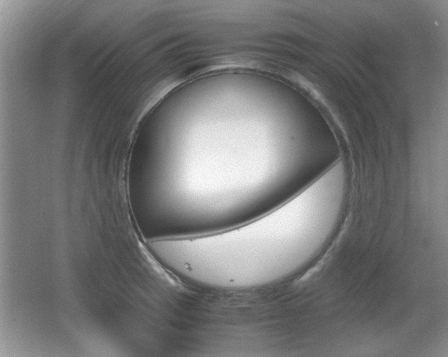 X0000067871137200604131008