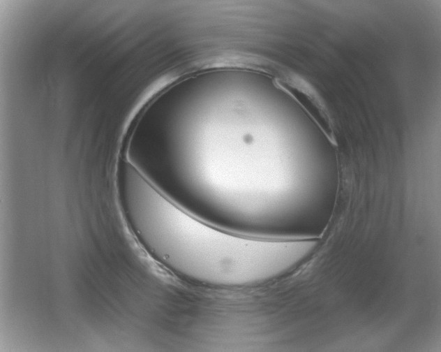 X0000067871138200604131008