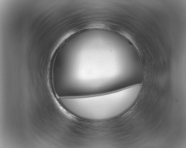 X0000067871139200604131008