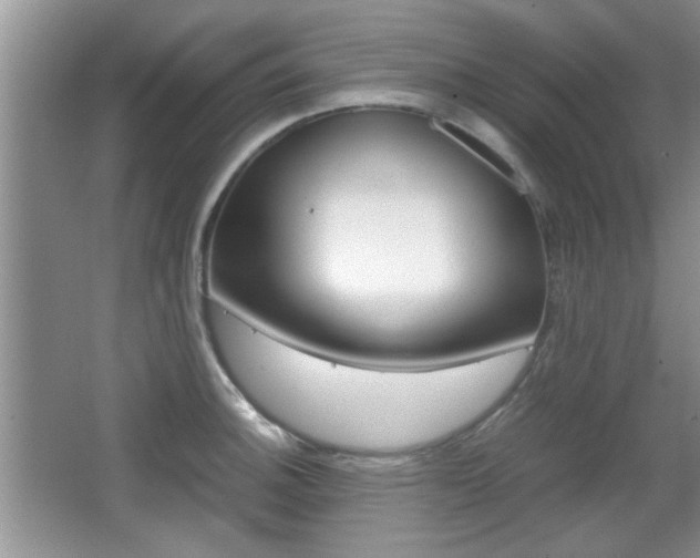 X0000067871140200604131008