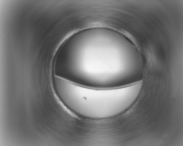 X0000067871142200604131008