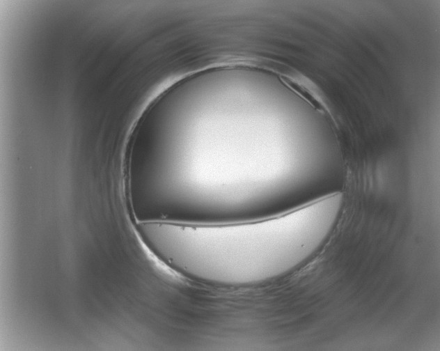 X0000067871143200604131008