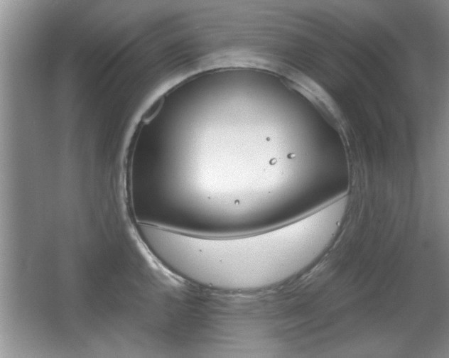 X0000067871144200604131008