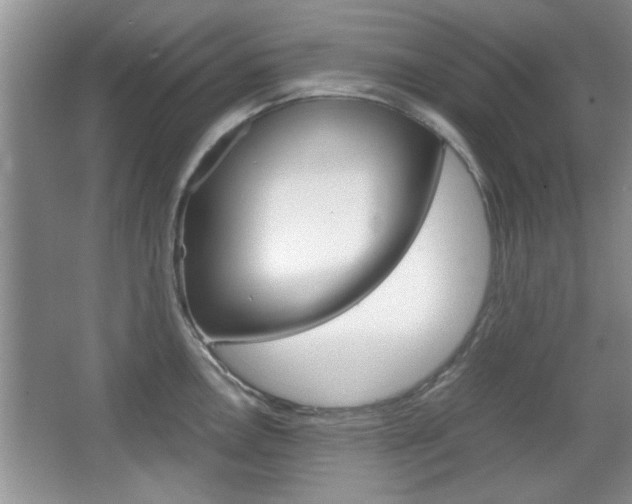 X0000067871146200604131008