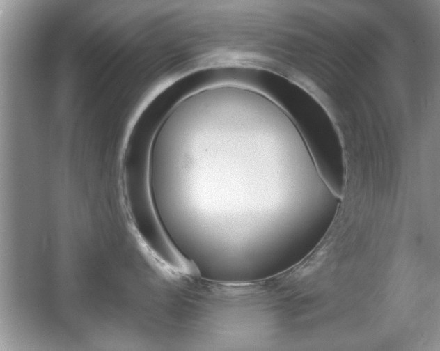 X0000067871152200604131008