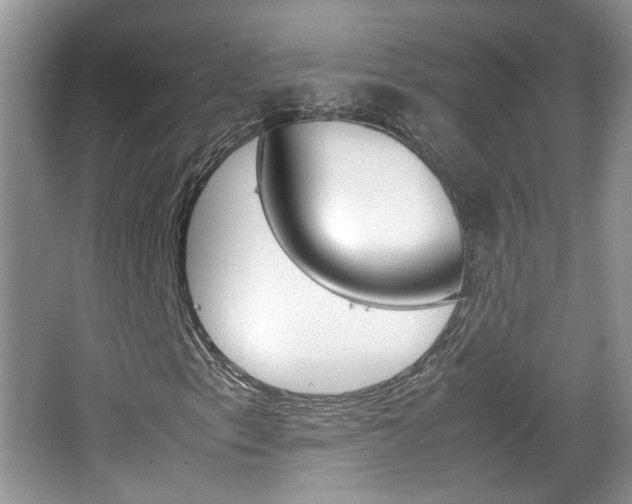 X0000067871153200604131007