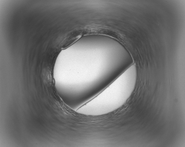 X0000067871155200604131007