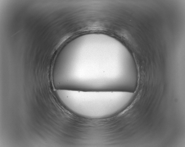 X0000067871162200604131007