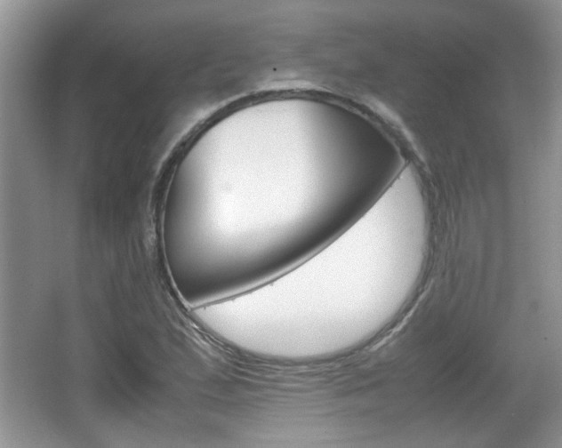 X0000067871167200604131007