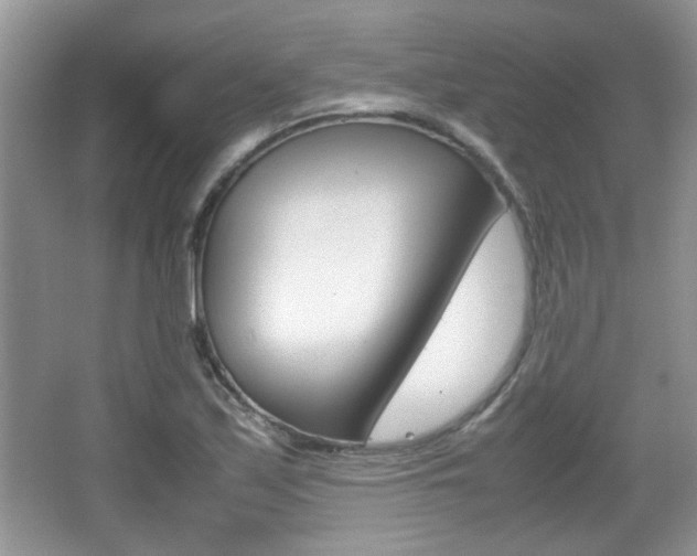 X0000067871171200604131007