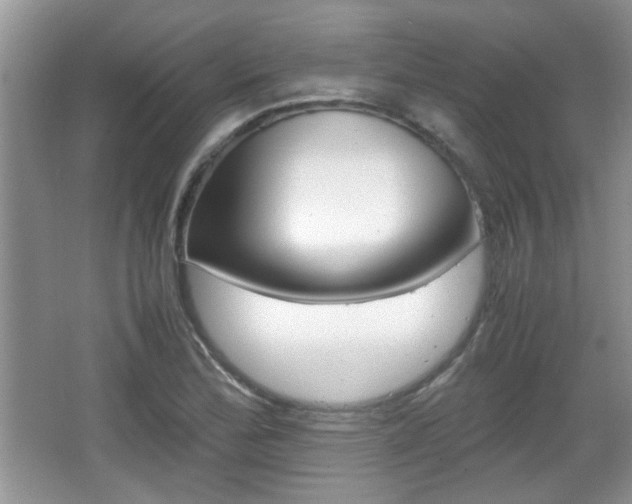 X0000067871172200604131007
