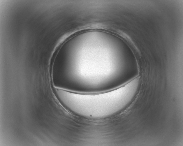 X0000067871176200604131007