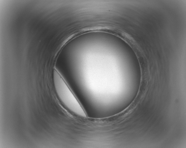 X0000067871177200604131007