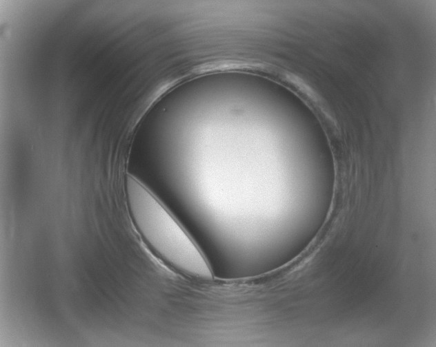 X0000067871185200604131007