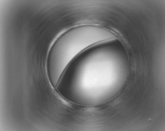 X0000067871188200604131007