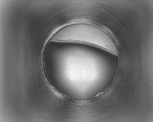 X0000067871192200604131007
