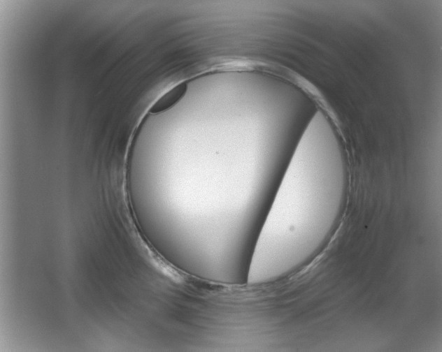 X0000067871194200604131006