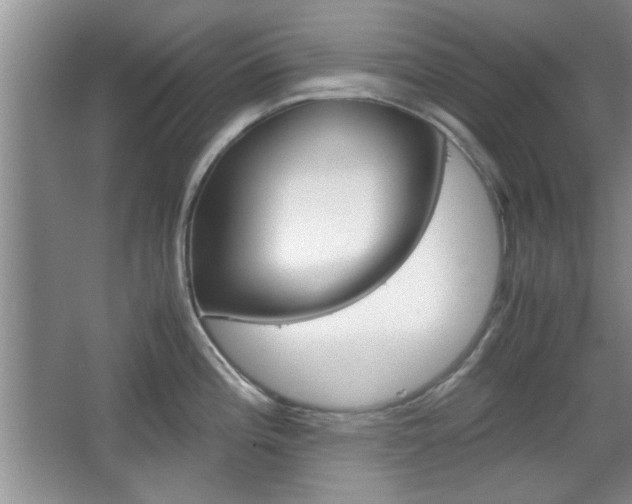 X0000067871196200604131006