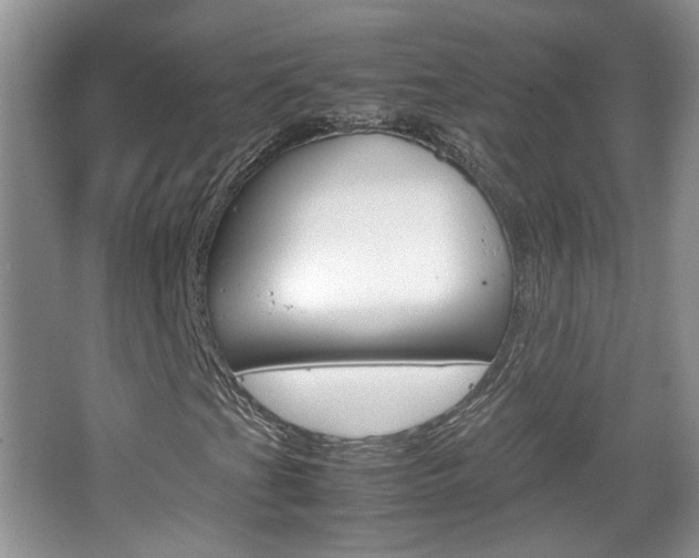 X0000067871201200604131006