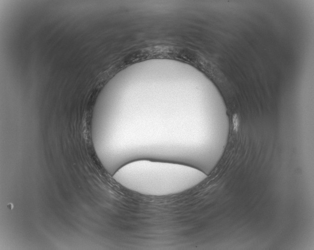 X0000067871203200604131006