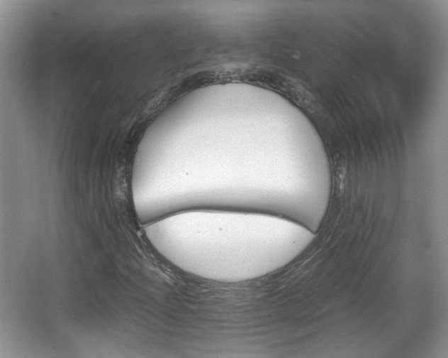 X0000067871204200604131006
