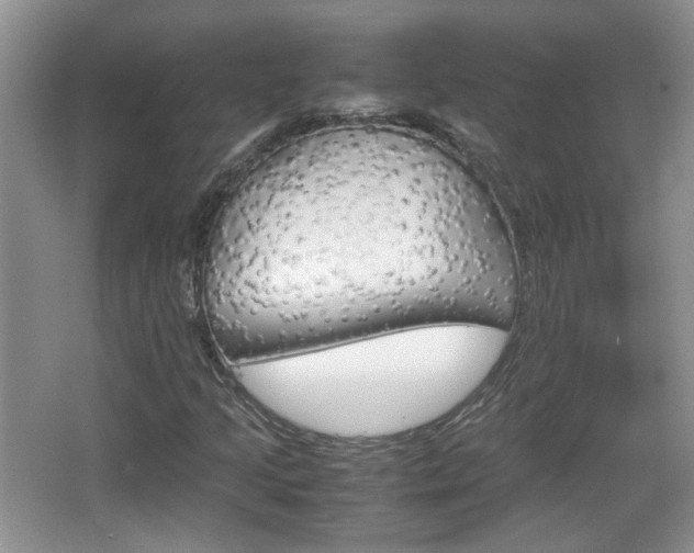 X0000067871205200604131006