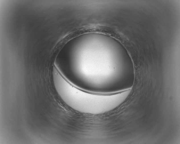 X0000067871206200604131006